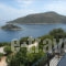 Olympia's House_best prices_in_Room_Ionian Islands_Ithaki_Ithaki Rest Areas