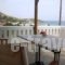 Rania Studios_best deals_Apartment_Cyclades Islands_Andros_Ormos