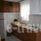 Antigoni Apartments_best prices_in_Apartment_Macedonia_Thessaloniki_Asprovalta