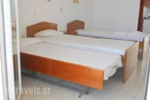 Eleni 3_best deals_Apartment_Ionian Islands_Kefalonia_Lourdata