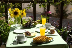 Galini_best deals_Hotel_Aegean Islands_Lesvos_Skala Eressou