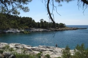 Kekes Beach_best deals_Apartment_Aegean Islands_Thasos_Thasos Chora