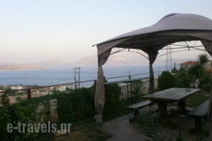 Villa Christine_best deals_Villa_Central Greece_Evia_Aliveri