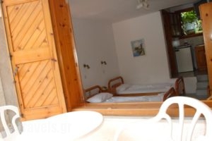 Kipos Hotel_holidays_in_Hotel_Aegean Islands_Thasos_Thasos Chora