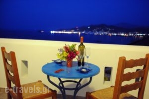 Dream View_travel_packages_in_Cyclades Islands_Naxos_Stelida