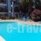 Nikos Studios and Apartments_accommodation_in_Apartment_Ionian Islands_Kefalonia_Kefalonia'st Areas
