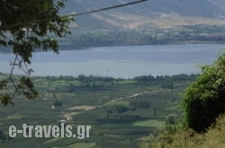 Nimbus Guesthouse_s __1