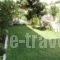 Anna Maria_lowest prices_in_Apartment_Ionian Islands_Kefalonia_Kefalonia'st Areas