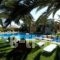 Lycasti Maisonettes_travel_packages_in_Crete_Chania_Neo Chorio