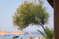 Porto Kaliali_s __1