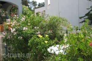 Nefeli_holidays_in_Hotel_Dodekanessos Islands_Kalimnos_Kalimnos Rest Areas