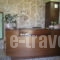 Olympia Guesthouse_best deals_Hotel_Macedonia_Imathia_Vergina