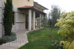 Olympia Guesthouse_travel_packages_in_Macedonia_Imathia_Vergina