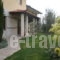 Olympia Guesthouse_travel_packages_in_Macedonia_Imathia_Vergina