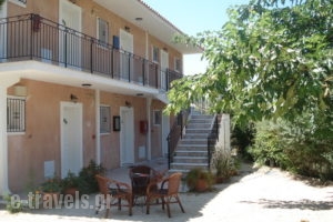 Emilia Apartments_best prices_in_Apartment_Ionian Islands_Kefalonia_Kefalonia'st Areas