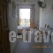 Pansion Platana_accommodation_in_Room_Sporades Islands_Skopelos_Glossa