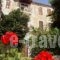 Guesthouse Parthenon_accommodation_in_Apartment_Central Greece_Attica_Athens