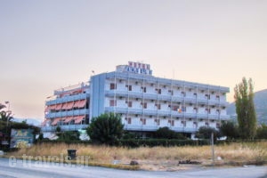 Angela_best prices_in_Hotel_Central Greece_Evia_Halkida