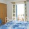 Pension Irene 2_lowest prices_in_Hotel_Cyclades Islands_Naxos_Naxos Chora