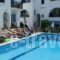 Pension Irene 2_accommodation_in_Hotel_Cyclades Islands_Naxos_Naxos Chora