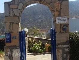 Flora's Apartments_holidays_in_Apartment_Cyclades Islands_Naxos_Apollonas