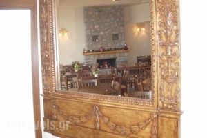 Artemis Kallisti_accommodation_in_Hotel_Central Greece_Fokida_Monastiraki