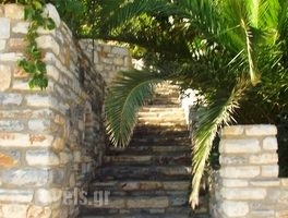 Petrino_accommodation_in_Apartment_Cyclades Islands_Naxos_Naxos Rest Areas