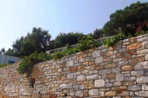 Petrino_best deals_Apartment_Cyclades Islands_Naxos_Naxos Rest Areas