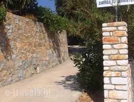 Petrino_holidays_in_Apartment_Cyclades Islands_Naxos_Naxos Rest Areas