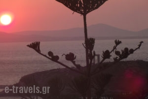 Ocean View_travel_packages_in_Cyclades Islands_Naxos_Naxos Chora