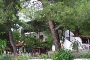Para Thin Alos_lowest prices_in_Hotel_Macedonia_Halkidiki_Pefkochori