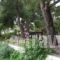 Para Thin Alos_best deals_Hotel_Macedonia_Halkidiki_Pefkochori