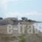 Municipal Camping of Alexandroupolis_travel_packages_in_Thraki_Evros_Alexandroupoli