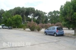 Municipal Camping of Alexandroupolis in  Areopoli, Lakonia, Peloponesse