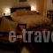 Kynaitha Papastaurou_best deals_Hotel_Peloponesse_Achaia_Kalavryta