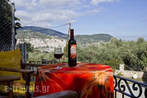 Naiades_holidays_in_Apartment_Sporades Islands_Skopelos_Skopelos Chora