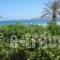 Hotel Petras Beach_accommodation_in_Hotel_Crete_Lasithi_Sitia