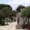 Kari_best deals_Hotel_Macedonia_Halkidiki_Ouranoupoli