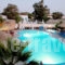Marc Aggelos - Meteora Studios_best prices_in_Apartment_Cyclades Islands_Sandorini_Perissa