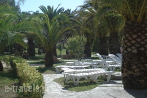 ABC Sweet Home_best prices_in_Apartment_Ionian Islands_Corfu_Aghios Ioannis Peristeron