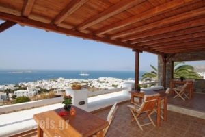 Germanos Studios_holidays_in_Hotel_Cyclades Islands_Mykonos_Mykonos ora