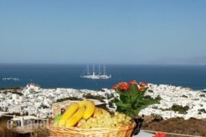 Germanos Studios_lowest prices_in_Hotel_Cyclades Islands_Mykonos_Mykonos ora