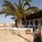 Germanos Studios_best prices_in_Hotel_Cyclades Islands_Mykonos_Mykonos ora
