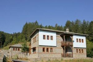 Kerasies Guesthouse_lowest prices_in_Hotel_Epirus_Ioannina_Perama