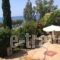 Kanellakis_best prices_in_Hotel_Peloponesse_Messinia_Kyparisia