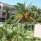 Roseland'S Hotel_best deals_Hotel_Dodekanessos Islands_Kos_Kos Rest Areas