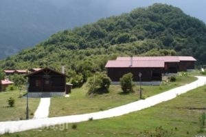 Dasiko Chorio Kedros_accommodation_in_Apartment_Epirus_Arta_Katarraktis