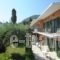 Passas Studios And Apartments_accommodation_in_Apartment_Ionian Islands_Corfu_Benitses
