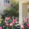 Evdokia Apartments_holidays_in_Apartment_Crete_Chania_Platanias