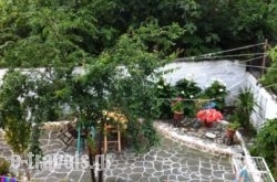 Pansion Angela_s __6